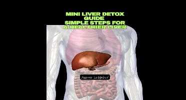 Mini Liver Detox Guide