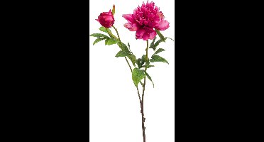 Emerald - Kunstbloem Pioenroos Sarah 73cm beauty - Kunstplant voor binnen