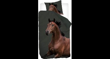 Snoozing Storm Dekbedovertrek - Junior - 120x150 cm - Bruin