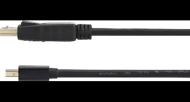 Renkforce RF-4538178 DisplayPort-kabel Mini-displayport / DisplayPort Adapterkabel Mini DisplayPort-stekker, DisplayPor