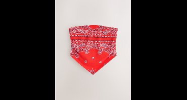 Next Bandeau-sjaaltop