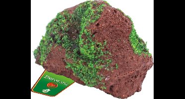 De Boon Lavasteen Met Mos