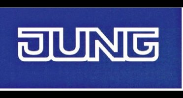 Jung Basiselement Datacontactdoos Aderpaar - UAE8UPO - E2BHT