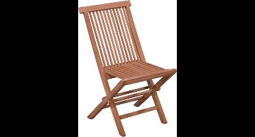 Livingfurn Klapstoel Teakhout - Set van 2