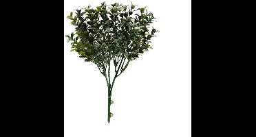 Buitengewoon de boet - Buxus engels 32 cm kunsttak