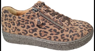 Hartjes PHIL SHOE - Wijdte H