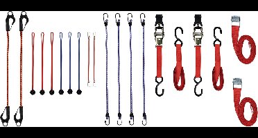 Perel Set spanbanden en snelbinders, voor het vastzetten en zekeren van ladingen, verschillende lengtes en bevestigingen, met opbergkoffer, 20 stuks