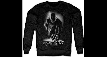 DC Comics The Flash Sweater/trui -S- Ready Zwart