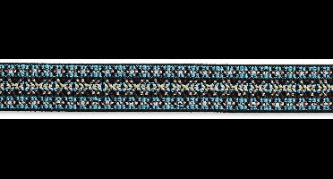 Elastiek Color 25 mm dessin turkoois - Elastiek - Prym