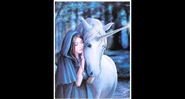 Anne Stokes - Solace - Canvas afbeelding
