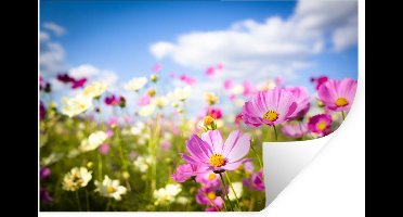 Muurstickers - Sticker Folie - Bloemen - Wei - Paars - Gras - Wit - Wolken - Blauw - 30x20 cm - Plakfolie - Muurstickers Kinderkamer - Zelfklevend Behang - Zelfklevend behangpapier - Stickerfolie
