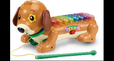 VTech Baby Timmie Teckel Xylofoon + Licht