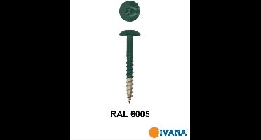 Ivana Gevelschroef t.b.v. Trespa RAL6005 Mosgroen TX-20 4.8x38 100St