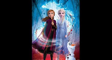 Frozen 2 Guiding Spirit Poster 40x50cm