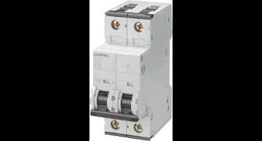 Siemens 5SY6 Stroomonderbreker - 5SY62167 - E2F4P