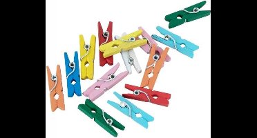 Multicolor mini wasknijpertjes, 24 stuks, voor het ophangen van kaartjes e.d.