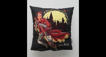 Carbotex Harry Potter - Sierkussen Kussen 40 x 40 cm inclusief vulling 100% polyester