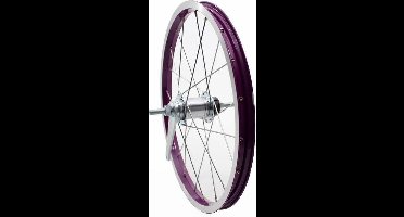 Alpina achterwiel 20 remnaaf J19DB paars zink spk