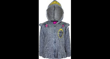 Disney Princess Hoodie met Rits Grijs 6 Jaar