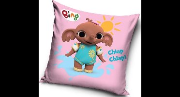 Carbotex - Bing - Sierkussen Kussen 40 x 40 cm inclusief vulling