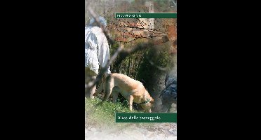 Alice delle traveggole