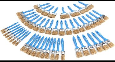 50 Delige Wegwerp Schilders Verfkwasten Set