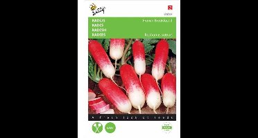 Buzzy Zaden - Radijs Halflange Rode Groot Witpunt - Raphanus sativus