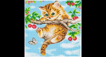 Vedes Diamond Painting Crystal Art Kat met Kersen 30x30 cm schilderij.