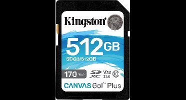 Kingston Canvas Go Plus - 512GB