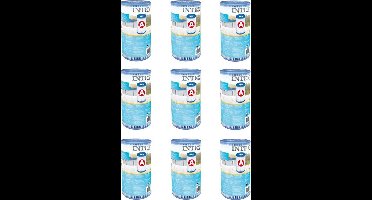 Intex 29000 Filter Cartridge Type A 9 stuks voor Zwembad 244/305/366 cm