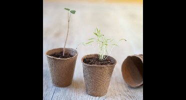 Nature Turfpotten 96 st 6x6 cm