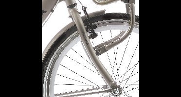 Alpina Voorvork 24 Clubb gold met matt