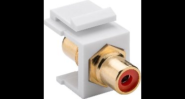 Keystone module Tulp RCA (v) - Tulp RCA (v) audio rechts (rood) verguld / wit