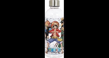 Stor Young Adult - One Piece - Herbruikbare fles Crew kleur - 850 ML