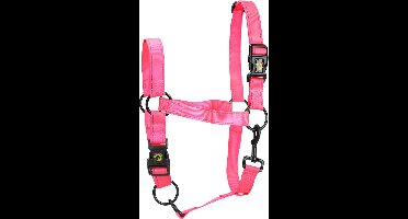 Excellent Horse - XS (Veulen) - Premium Essential Halster - Reflecterend halster voor paard - Geschikt voor paarden - Roze