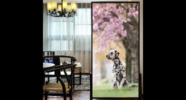 Raamfolie Dalmatiër - Dalmatinski pas - Carriage Dog - Spotted Coach Dog - Leopard Carriage Dog - Firehouse Dog - Plum Pudding Dog - 60 x 120 cm