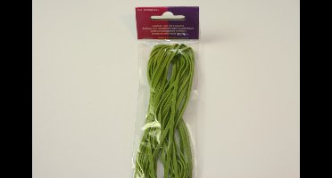 Veter imitatieleer (licht) Groen 3 Millimeter 5 Meter