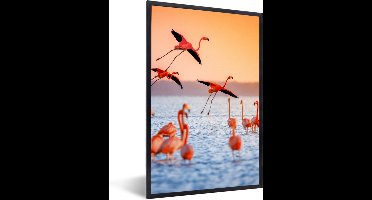 PosterMonkey - Poster - Fotolijst - Vogel - Flamingo - Zonsondergang - Water - Tropisch - 20x30 cm - Poster in lijst - Poster flamingo - Poster frame - Poster dieren