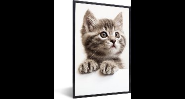 PosterMonkey - Poster - Kat - Grijs - Poes - Kitten - Dieren - Fotolijst - Frame - 40x60 cm - Poster frame - Foto in lijst - Poster kat - Muurdecoratie - Poster lijst