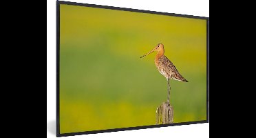 PosterMonkey - Poster - Fotolijst - Vogel - Dieren - Paal - Groen - 90x60 cm - Poster vogels - Poster met kader - Foto in lijst - Poster dieren - Posterlijst - Kader