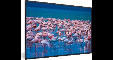 PosterMonkey - Poster - Fotolijst - Dieren - Flamingo - Zwart - Wit - Grijs - Kader - 60x40 cm - Slaapkamer - Poster lijst - Frame poster - Poster flamingo - Poster met frame