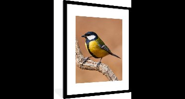 PosterMonkey - Poster - Fotolijst - Koolmees - Vogel - Takken - 60x80 cm - Poster natuur - Poster vogels - Foto in lijst - Poster frame