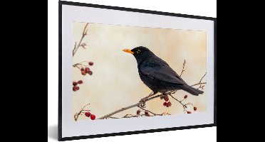 PosterMonkey - Poster - Fotolijst - Merel - Vogel - Takken - Bes - 60x40 cm - Poster natuur - Foto lijst - Poster frame - Poster vogels