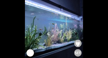 Aquarium Led Verlichting - Wit - Afstandsbediening - Lengte 50 cm
