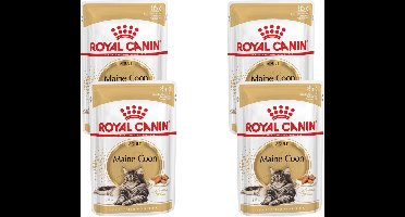 Royal Canin - Maine Coon Loaf Kattenvoer Nat - 48 x 85 gr