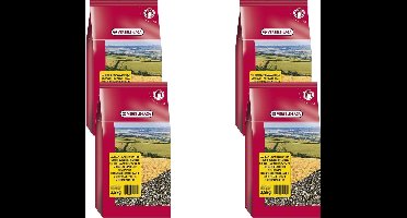 Versele-Laga Gestreepte Zonnebloempitten - Vogelvoer - 4 x 2.5 kg