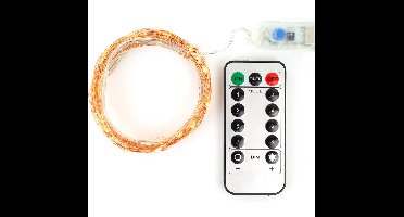 Lichtslinger Clauss LED 100 - Led's 10m met USB aansluiting - AC-CL10002