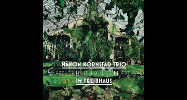 Håkon Kornstad - Im Treibhaus (LP)