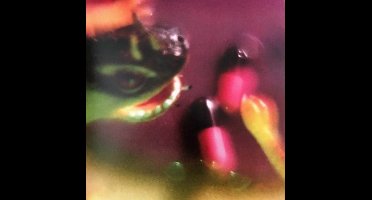 Bush Tetras - Take The Fall (12" Vinyl Single)