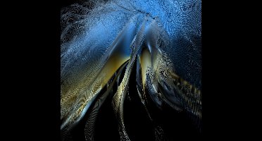 Son Lux - At War With Walls & Mazes (CD)